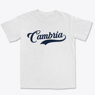 Cambria New York Vintage Team Premium Heavyweight T-shirt