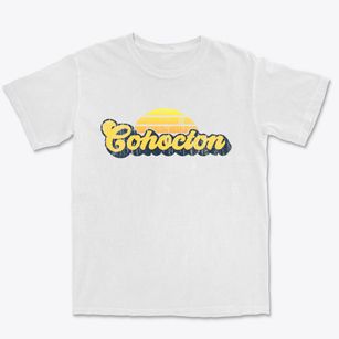 Cohocton New York Sublime Sunset Premium Heavyweight T-shirt