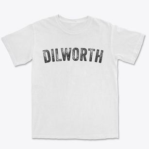 Dilworth Minnesota Timeless Retro Premium Heavyweight T-shirt
