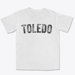 Toledo Iowa Timeless Retro Premium Heavyweight T-shirt