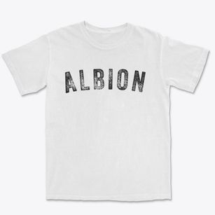 Albion Maine Timeless Retro Premium Heavyweight T-shirt