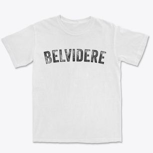 Belvidere Illinois Timeless Retro Premium Heavyweight T-shirt
