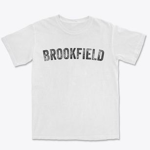 Brookfield Illinois Timeless Retro Premium Heavyweight T-shirt