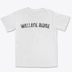 Wallace Ridge Louisiana Timeless Retro Premium Heavyweight T-shirt