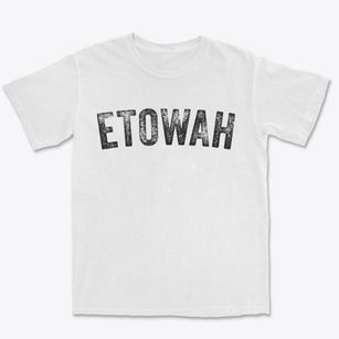 Etowah Arkansas Timeless Retro Premium Heavyweight T-shirt
