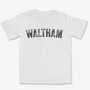Waltham Minnesota Timeless Retro Premium Heavyweight T-shirt