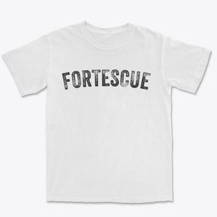 Fortescue Missouri Timeless Retro Premium Heavyweight T-shirt