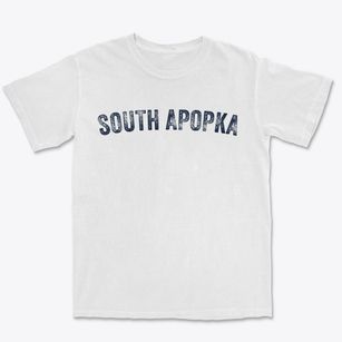 South Apopka Florida Timeless Retro Premium Heavyweight T-shirt
