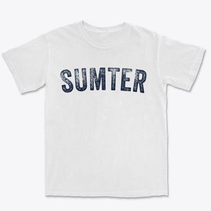 Sumter South Carolina Timeless Retro Premium Heavyweight T-shirt