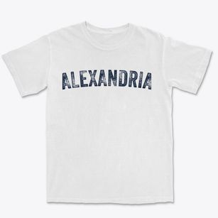 Alexandria Tennessee Timeless Retro Premium Heavyweight T-shirt