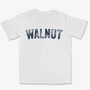 Walnut Mississippi Timeless Retro Premium Heavyweight T-shirt