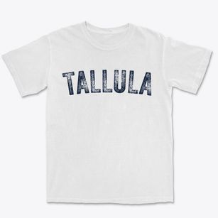 Tallula Illinois Timeless Retro Premium Heavyweight T-shirt