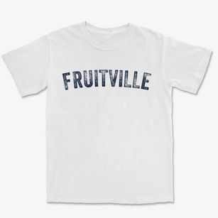 Fruitville Florida Timeless Retro Premium Heavyweight T-shirt