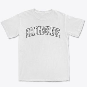 Bridge Creek Wisconsin Trendy Block Premium Heavyweight T-shirt