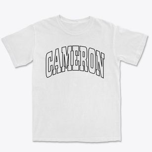 Cameron Wisconsin Trendy Block Premium Heavyweight T-shirt