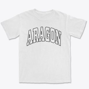 Aragon Georgia Trendy Block Premium Heavyweight T-shirt