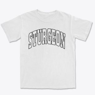 Sturgeon Missouri Trendy Block Premium Heavyweight T-shirt