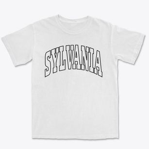 Sylvania Pennsylvania Trendy Block Premium Heavyweight T-shirt