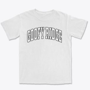 Goofy Ridge Illinois Trendy Block Premium Heavyweight T-shirt