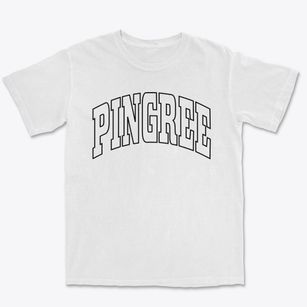 Pingree North Dakota Trendy Block Premium Heavyweight T-shirt