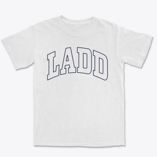 Ladd Illinois Trendy Block Premium Heavyweight T-shirt