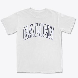 Galien Michigan Trendy Block Premium Heavyweight T-shirt