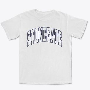 Stonegate Colorado Trendy Block Premium Heavyweight T-shirt