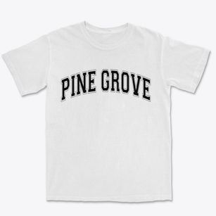 Pine Grove Pennsylvania Varsity Premium Heavyweight T-shirt