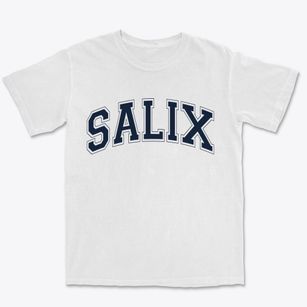 Salix Pennsylvania Varsity Premium Heavyweight T-shirt