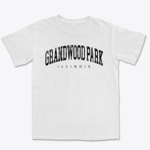 Grandwood Park Illinois Urban Vibe Premium Heavyweight T-shirt