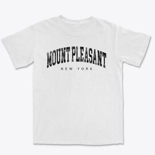 Mount Pleasant New York Urban Vibe Premium Heavyweight T-shirt