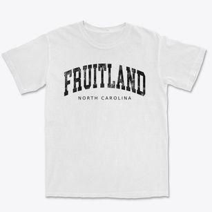Fruitland North Carolina Urban Vibe Premium Heavyweight T-shirt