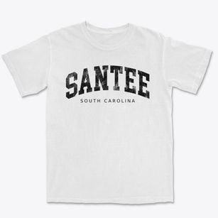 Santee South Carolina Urban Vibe Premium Heavyweight T-shirt