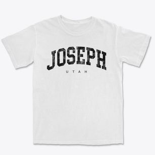 Joseph Utah Urban Vibe Premium Heavyweight T-shirt