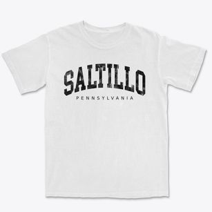 Saltillo Pennsylvania Urban Vibe Premium Heavyweight T-shirt