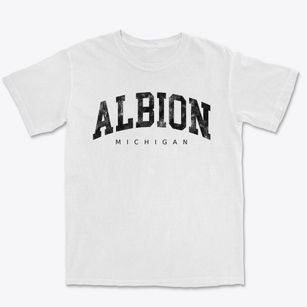 Albion Michigan Urban Vibe Premium Heavyweight T-shirt