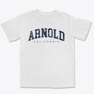 Arnold California Urban Vibe Premium Heavyweight T-shirt