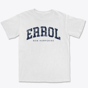 Errol New Hampshire Urban Vibe Premium Heavyweight T-shirt
