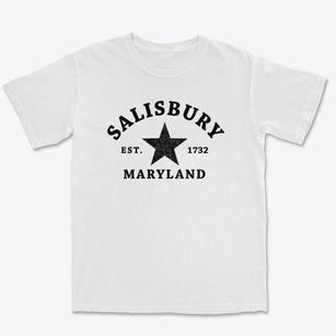 Salisbury Maryland Star Premium Heavyweight T-shirt