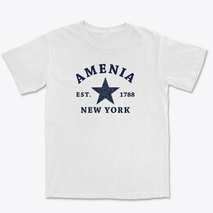 Amenia New York Star Premium Heavyweight T-shirt