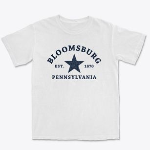 Bloomsburg Pennsylvania Star Premium Heavyweight T-shirt