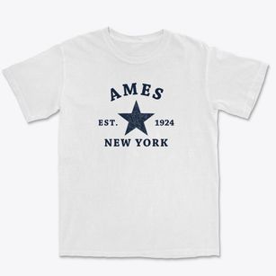 Ames New York Star Premium Heavyweight T-shirt