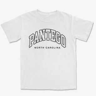 Pantego North Carolina Inline Premium Heavyweight T-shirt