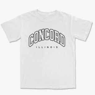 Concord Illinois Inline Premium Heavyweight T-shirt