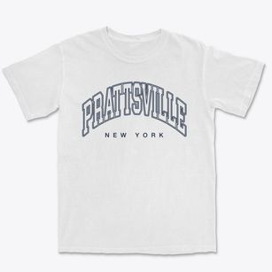 Prattsville New York Inline Premium Heavyweight T-shirt
