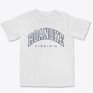 Roanoke Virginia Inline Premium Heavyweight T-shirt