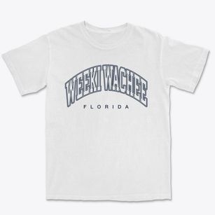 Weeki Wachee Florida Inline Premium Heavyweight T-shirt