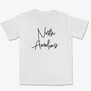 North Aurelius Michigan Freestyle Premium Heavyweight T-shirt