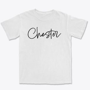 Chester Pennsylvania Freestyle Premium Heavyweight T-shirt