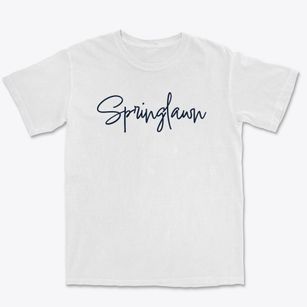 Springlawn Pennsylvania Freestyle Premium Heavyweight T-shirt